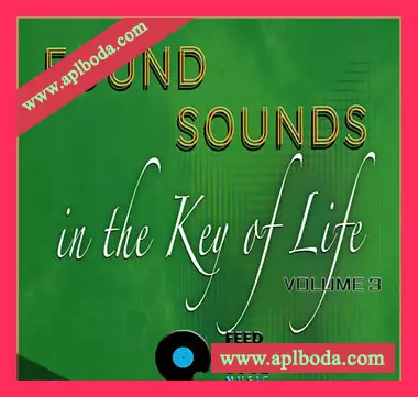 [游乐园氛围人声音效FX采样]Feed Your Soul Music Found Sounds Vol.3 Sounds in The Key of Life（85Mb）