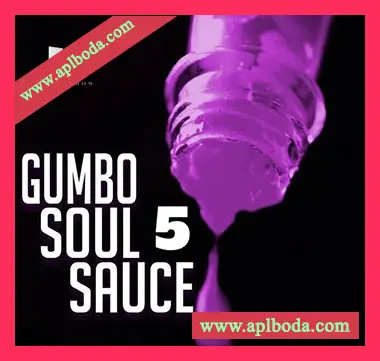 [灵魂RnB采样]HOOKSHOW Gumbo Soul Sauce 5 [WAV]（158Mb）