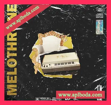 [嘻哈陷阱采样]Nine Audio Melothrone [WAV]（88Mb）