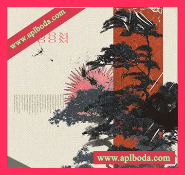 [Trap陷阱采样]MovingKeys Bloom [WAV]（408Mb）