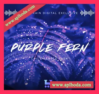 [氛围电子合成波采样]TrakTrain Purple Fern Chill [WAV]（264Mb）