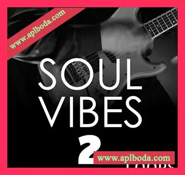[灵魂RnB采样]HOOKSHOW Soul Vibes Loops 2 [WAV]（60Mb）