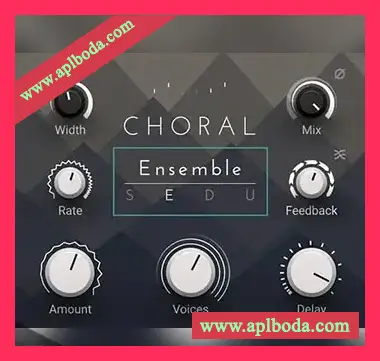 [经典合唱效果器]Native Instruments Choral v1.0.0  v1.1.0 [WiN, MacOSX]（99Mb）