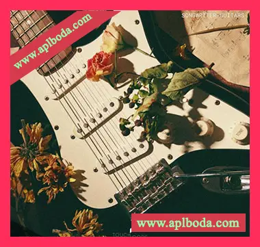 [流行RnB爵士吉他采样]Touch Loops Songwriter Guitars [WAV]（302Mb）