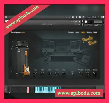 [放克贝斯音源]Pettinhouse FunkyBass 2.0 [KONTAKT]（540Mb）
