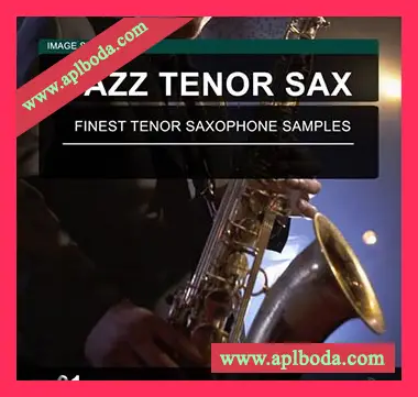 [爵士萨克斯采样]Image Sounds Jazz Tenor Sax 01 [WAV]（16Mb）