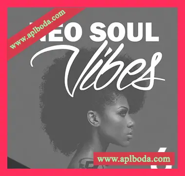 [灵魂RnB采样]Big Citi Loops Neo Soul Vibes 6 [WAV]（41Mb）