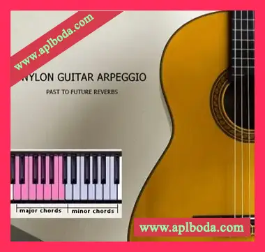 [尼龙吉他琶音音源]PastToFutureReverbs Nylon Guitar Arpeggio For Kontakt! [KONTAKT]（261Mb）