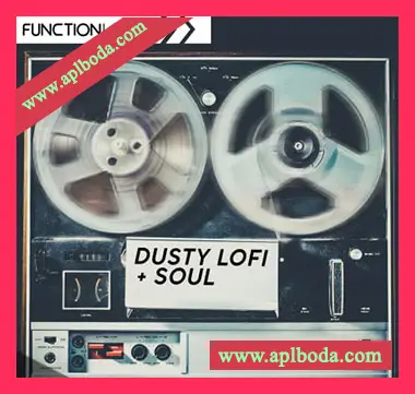[低保真灵魂RnB采样]Function Loops Dusty Lofi Soul [WAV]（200Mb）