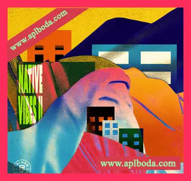 [灵魂嘻哈采样]Pelham and Junior Native Vibes 2 [WAV]（356Mb）