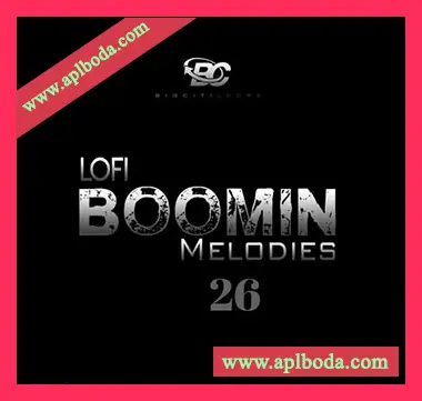 [低保真嘻哈陷阱RnB采样]Big Citi Loops Lofi Boomin Melodies 26 [WAV]（37Mb）