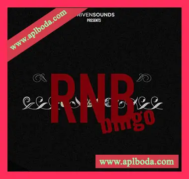 [RnB采样]DRIVENSOUNDS Rnb Bingo Loops [WAV]（40Mb）