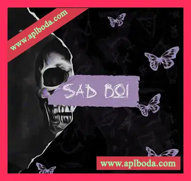 [Trap陷阱素材]Aquila Beats Sad Boi [WAV, MiDi]（115Mb）