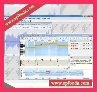 [音频转换MIDI工具]WIDI Recognition System Professional v4.5.0 Build 677 [WiN]（12Mb）