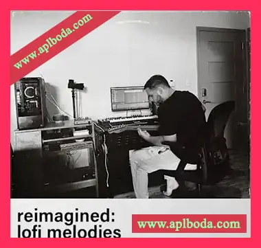 [灵魂嘻哈RnB采样]Jazzfeezy REIMAGINED LOFI MELODIES (JAMES PENLEY X JAZZFEEZY)（250Mb）