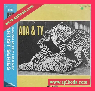 [灵魂嘻哈RnB采样]UNKWN Sounds AOA and TY Vol.1 [WAV]（290Mb）