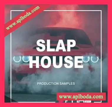 [SlapHouse采样]Symphonic Distribution Slap House [WAV]（82Mb）