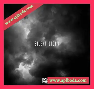 [怀旧RnB爵士采样]Soul Surplus Silent Storm [WAV]（591Mb）