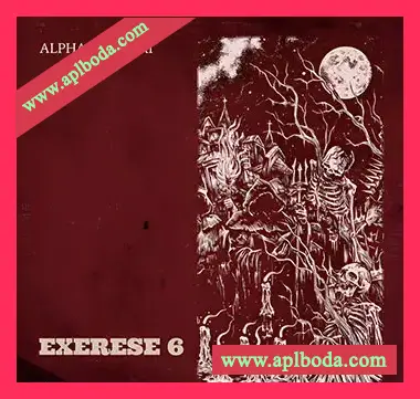 [影视乐采样]Boom Bap Labs Alpha Centori Exerese 6 [WAV]（78Mb）