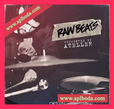 [灵魂节奏布鲁斯Beats采样]Origin Sound Raw Beats [WAV]（300Mb）