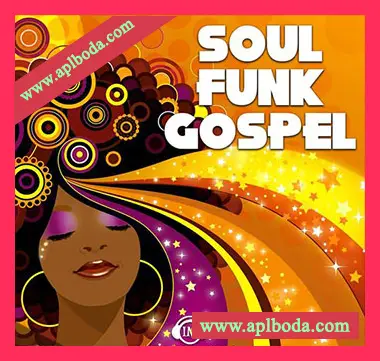 [灵魂放克福音乐采样]Big Citi Loops Soul Funk Gospel [WAV]（101Mb）