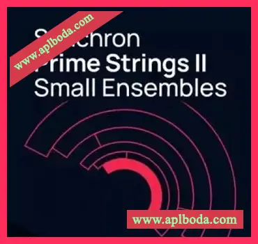 [Synchron Player扩展管弦乐团小型弦乐合奏]Vienna Symphonic Library Synchron Prime Strings II (VSL Synchron Player)（4.81Gb）