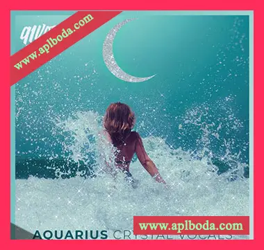 [流行RnB人声采样]91Vocals Aquarius (Crystal Vocals) [WAV]（569Mb）