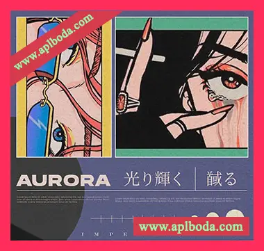 [拉丁雷击顿鼓组采样]Imperium Sounds Aurora Reggaeton Drum Kit [WAV]（46Mb）