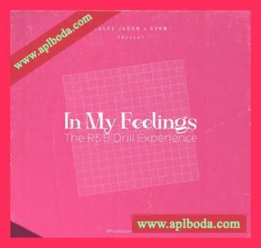 [嘻哈陷阱采样]Julez Jadon In My Feelings The RnB Drill Experience [WAV]（167Mb）