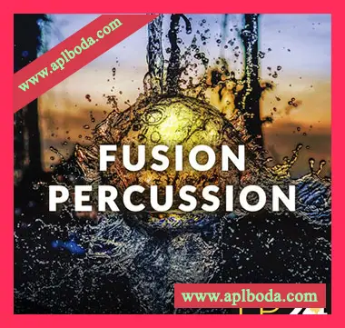 [民族打击乐采样]LP24 Audio Fusion Percussion [WAV]（571Mb）