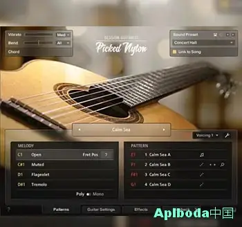 [尼龙弦吉他音源]Native Instruments Session Guitarist Picked Nylon v1.1.0 [KONTAKT]（6.0Gb）
