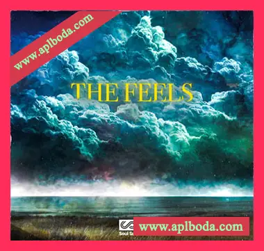 [灵魂嘻哈RnB采样]Soul Surplus The Feels [WAV]（571Mb）
