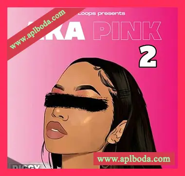 [灵魂RnB采样]Diggy Loops Aka Pink 2 [WAV]（45Mb）