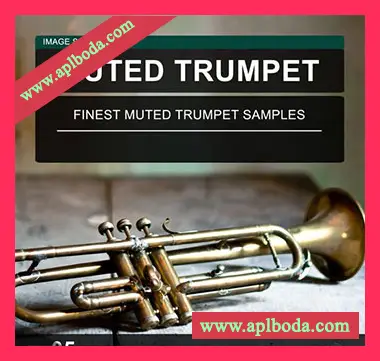 [闷音小号采样]Image Sounds Muted Trumpet 05 [WAV]（10Mb）