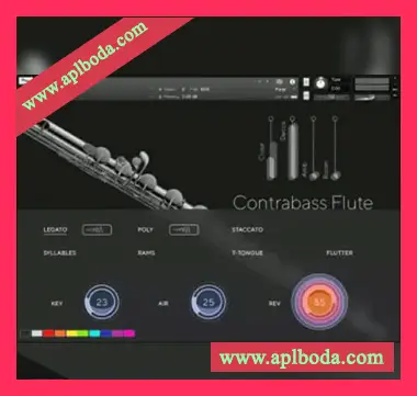 [低音长笛音源]Auddict Daniela Mars Contrabass Flute [KONTAKT]（5.58Gb）