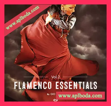 [拉丁吉他采样]Gio Israel Flamenco Essentials Guitars Vol.2 [WAV]（498Mb）
