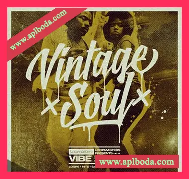 [灵魂放克RnB素材]Loopmasters VIBES Vol 3 Vintage Soul [多格式]（940Mb）