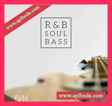 [灵魂放克RnB采样]Dm Samples RnB Soul Bass [WAV]（456Mb）