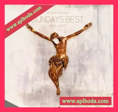 [流行RnB人声切片采样]Maserati Sparks Sundays Best Vocal Chops [WAV]（12Mb）