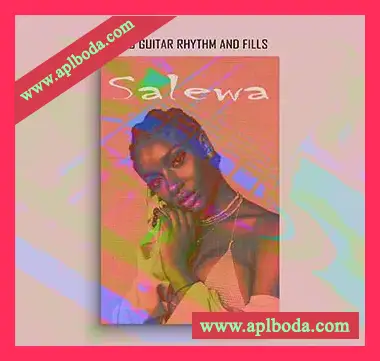 [非洲节奏灵魂RnB吉他采样]DaneeMoe Salewa Afro Guitars [WAV]（10Mb）