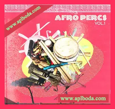 [非洲节奏采样]RARE Percussion Afro Percs Vol.1 [WAV]（203Mb）