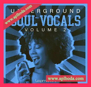 [灵魂RnB浩室采样]Loopmasters Underground Soul Vocals Volume 2 [WAV]（343Mb）