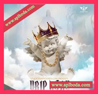 [嘻哈陷阱素材Sylenth1预置Serum预置Electra预置Omnisphere预置]Studio Trap Drip Lord [WAV, MiDi]（227Mb）