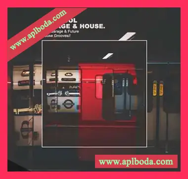 [浩室奇幻贝斯采样]Samplestar Nu Skool Garage and House [WAV]（330Mb）