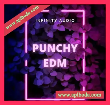 [EDM电子舞曲浩室素材]Infinity Audio Punchy EDM [WAV, MiDi]（169Mb）