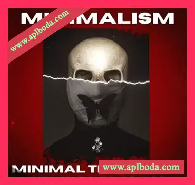 [Serum预置科技浩室]Innovation Sounds Minimalism Minimal Tech House Serum Presets（8Mb）
