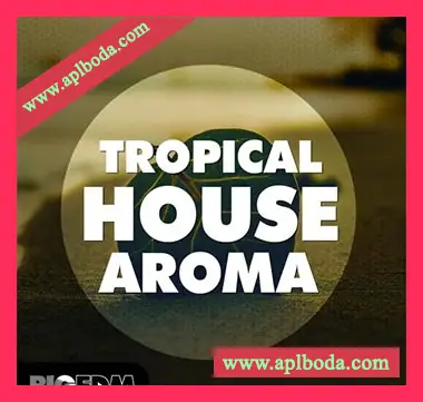 [Tropical House素材Serum预置Spire预置Sylenth1预置]Big Edm Tropical House Aroma [WAV, MiDi]（477Mb）