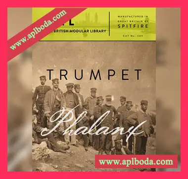 [史诗小号合奏音源]Spitfire Audio BML Trumpet Phalanx [KONTAKT]（7.4Gb）