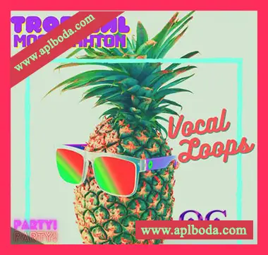 [热带休闲舞曲拉丁穆巴松人声采样]Queen Chameleon Tropical Moombahton Vocal Loops [WAV]（14Mb）