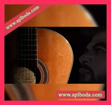 [优美吉他采样]Dev Next Level Premium Guitar Sample Pack Vol.01 [WAV]（38Mb）